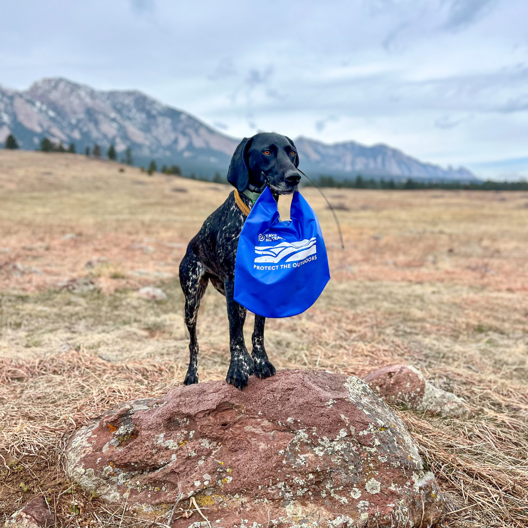 Leave No Trash Cleanup Kit